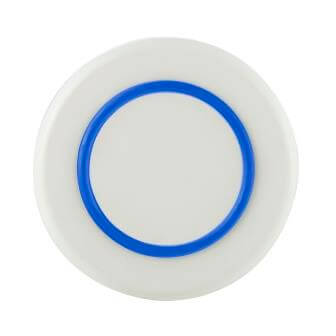 Palm - Dessert Plate